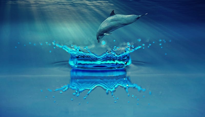 Underwater City